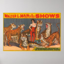 Search for tiger posters Circus