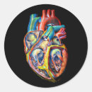 Search for body lotion stickers Biology