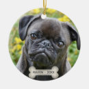 Search for black pug ornaments Cute