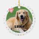 Search for photo pet memorial ornaments Rememberance
