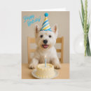 Search for westie birthday cards West highland terrier