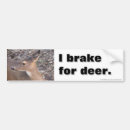Search for deer bumper stickers Doe