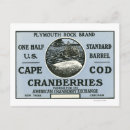 Search for label postcards Cape