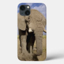 Search for elephant ipad cases Nature