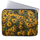 Search for black eyed susan Yellow flowers