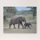 Search for elephant puzzles Nature
