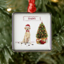 Search for yellow lab ornaments Funny