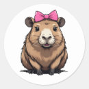 Search for capybara gifts Birthday