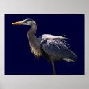 Search for great blue heron gifts Waterfowl