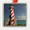 Search for bahamas ornaments Tropical
