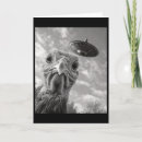 Search for turkey thanksgiving cards Food