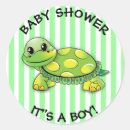 Search for turtle stickers Boy
