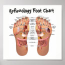 Search for massage posters Reflexology
