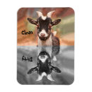 Search for funny dishwasher magnets Reversible