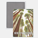 Search for redwood national park magnets Souvenir