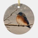 Search for robin ornaments Winter