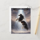 Search for gypsy vanner horse Beautiful
