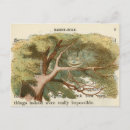 Search for alice in wonderland postcards White rabbit