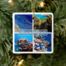 Search for australia ornaments Great barrier reef