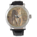 Search for lion watches Cat