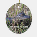 Search for alligator ornaments Swamp
