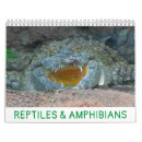 Search for snake calendars amphibians