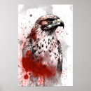 Search for red tail hawk art Avian
