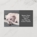 Search for face business cards Unique