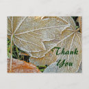 Search for frozen thank you cards Nature
