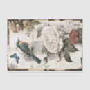 Search for bird tissue paper Rose
