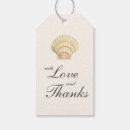 Search for scallop tags Seashell