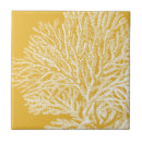 Search for coral and white tiles Sealife