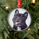 Search for french bulldog ornaments Domestic animals