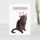 Search for funny easter postcards Kitty