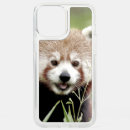 Search for panda iphone cases Nature