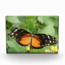 Search for butterfly awards Beautiful