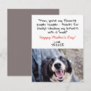 Search for dog and cat mothers day cards Humor