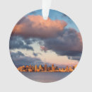 Search for san diego ornaments City