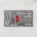 Search for cardinal bird business cards Wildlife