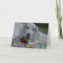 Search for weimaraner birthday cards Happy