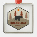Search for vermont ornaments Nature
