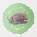 Search for reptile balloons Lizard