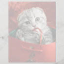 Search for baby gifts Cat