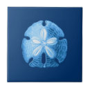 Search for sand dollar tiles Sea life