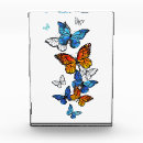 Search for butterfly awards Monarch