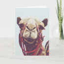 Search for funny face photo cards Photography