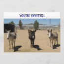 Search for donkey birthday invitations Kids