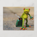 Search for frog postcards Cute