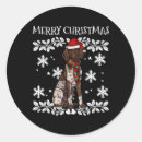 Search for german shorthaired pointer stickers Merry christmas