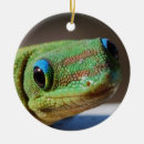 Search for gecko ornaments Wildlife